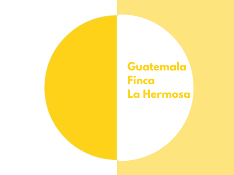 Mikko | Guatemala - Finca La Hermosa
