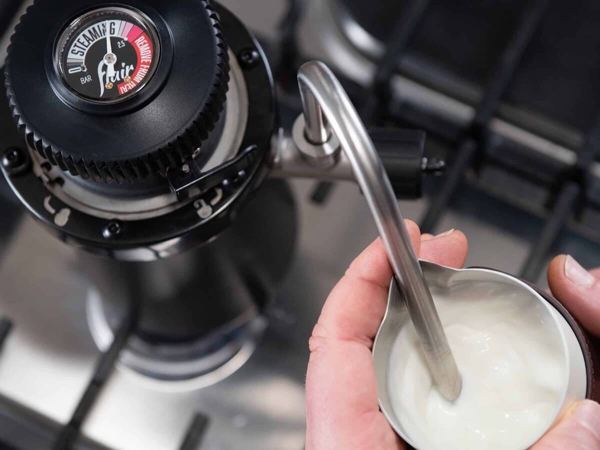 Flair | Wizard Milk Steamer