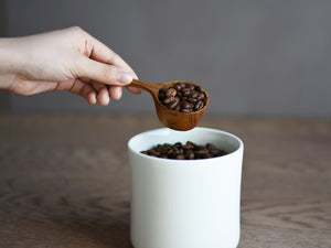 Kinto | Slow Coffee Style Scoop - CAFUNE - Serveware - Canada