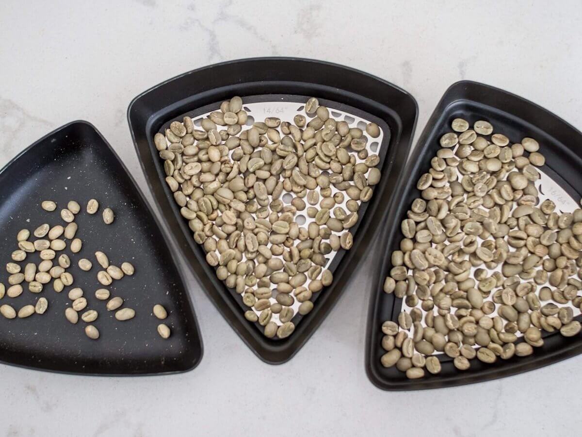 Kruve | Sifter - Plus (Bean)